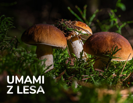 Umami z lesa