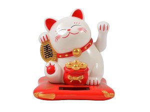 Lucky cat solar