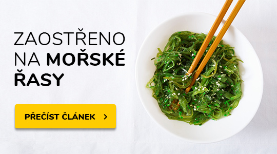 Zaostřeno na mořské řasy